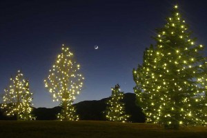 commercial christmas decor