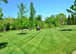 Lawn Care