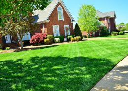 Lawn Care