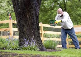 Lawn Care Company