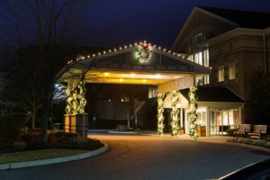Commercial Lighting MN 1