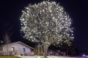 Residential Lighting St Cloud MN