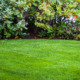 Idyllic lawn and shrubs on an early fall day