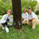 Valley Green team performing micro-infusion method of Emerald Ash Borer treatment on an Ash tree at a St. Cloud home.
