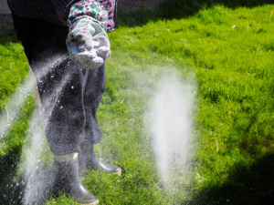 A woman spreads fertilizer on her lawn.