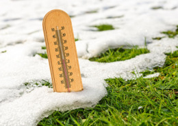 A thermometer in a grass lawn with melting snow.