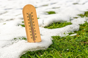 A thermometer in a grass lawn with melting snow.