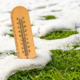 A thermometer in a grass lawn with melting snow.