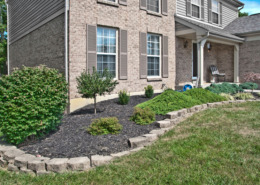 A mulch bed with ornamental plants surrounding a house.