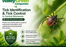 Tick Identification and Tick Control in Central Minnesota: 2026 Homeowner's Guide