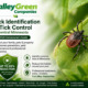 Tick Identification and Tick Control in Central Minnesota: 2026 Homeowner's Guide